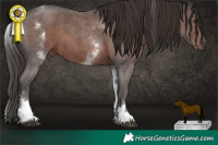 Horse Color:White Spotted Liver Chestnut Sabino 