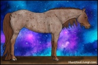 Horse Color:Red Roan 