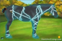 Horse Color:Thunderstruck Black 