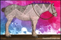 Horse Color:Liver Chestnut Ice 