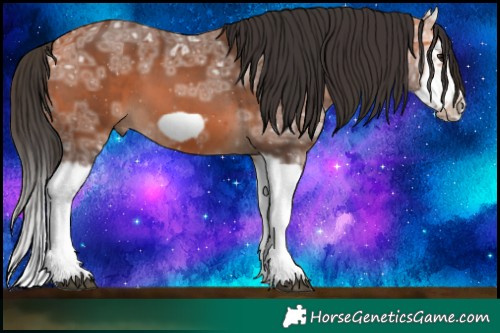 Horse Color:Bay Ice Splash Frame 