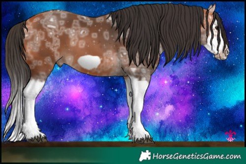Horse Color:Bay Ice Splash Frame