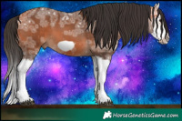 Horse Color:Bay Ice Splash Frame 