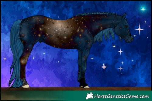 Horse Color:ERROR: UNKNOWN ANOMALY Brindle