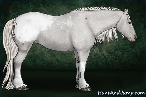 Horse Color:Silver Black Snowcap Brindle