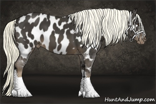 Horse Color:Liver Chestnut Mushroom Near Leopard