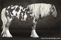 Horse Color:Liver Chestnut Mushroom Near Leopard