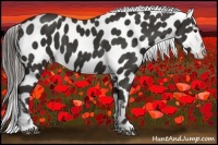 Horse Color:Liver Chestnut Near Leopard 