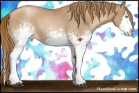 Horse Color:White Spotted Chestnut Pearl Splash