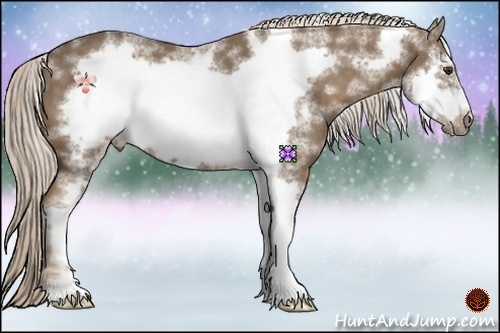 Horse Color:White Spotted Chocolate Palomino Sabino Frame 