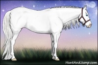 Horse Color:White Spotted Silver Amber Cream Champagne Dun Splash Blanket 