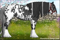 Horse Color:White Spotted Blue Roan Splash Frame Blanket