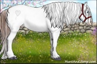 Horse Color:Black Splash Frame Varnish 