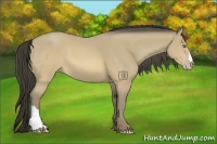 Horse Color:Sable Cream Champagne