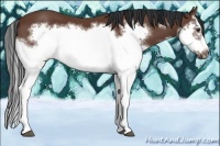 Horse Color:Bay Splash Frame