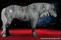 Horse Color:ERROR: UNKNOWN ANOMALY Brindle