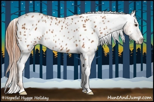 Horse Color:Chestnut Appaloosa