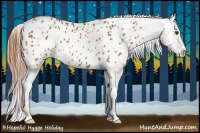 Horse Color:Chestnut Appaloosa 