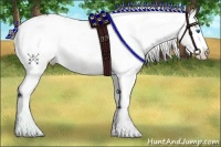 Horse Color:Liver Chestnut Splash Varnish 
