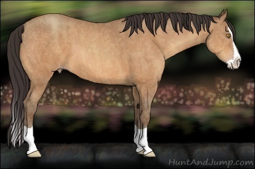 Horse Color:Amber Champagne Splash  Brindle