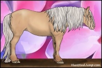 Horse Color:Silver Amber Champagne