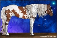 Horse Color:White Spotted Silver Bay 
