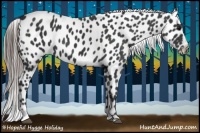 Horse Color:Black Near Leopard 