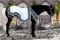 Horse Color:Palomino Ice Sabino Appaloosa Rabicano 