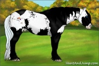 Horse Color:Watercolor Liver Red Dun Sabino Splash Tobiano Varnish Rabicano