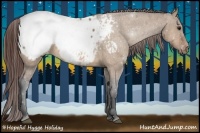 Horse Color:Bay Dun Appaloosa 