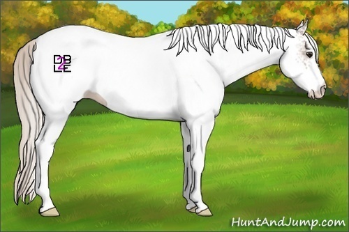 Horse Color:White Spotted Silver Bay Ice 