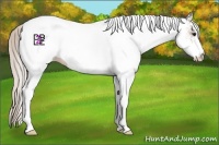 Horse Color:White Spotted Silver Bay Ice 