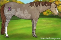 Horse Color:Chestnut Ice 