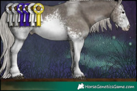 Horse Color:White Spotted Silver Black  Brindle