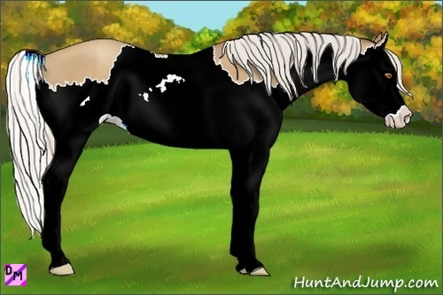 Horse Color:Silver Classic Champagne Splash