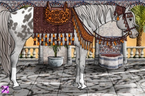 Horse Color:Grullo Varnish