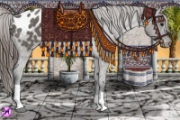 Horse Color:Grullo Varnish 