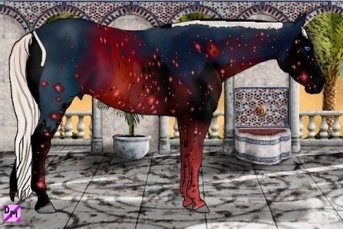 Horse Color:ERROR: UNKNOWN ANOMALY