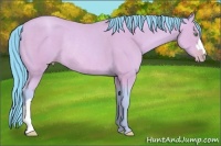 Horse Color:Watercolor Amber Cream Champagne Rabicano