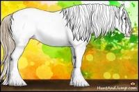 Horse Color:Liver Chestnut Frame Appaloosa 