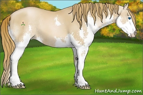 Horse Color:Chestnut Pearl Splash 