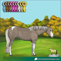 Horse Color:Silver Smoky Black Sabino Tobiano