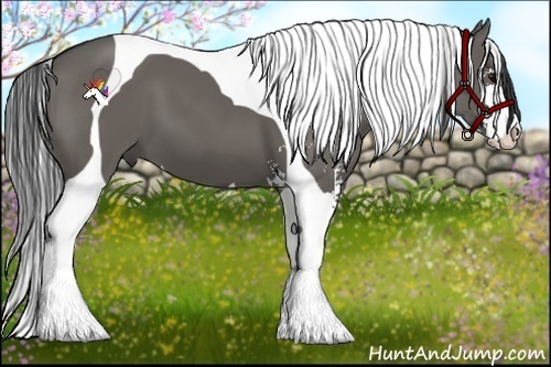 Horse Color:Grullo Sabino Tobiano
