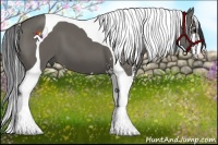 Horse Color:Grullo Sabino Tobiano