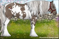 Horse Color:White Spotted Silver Black Tobiano 