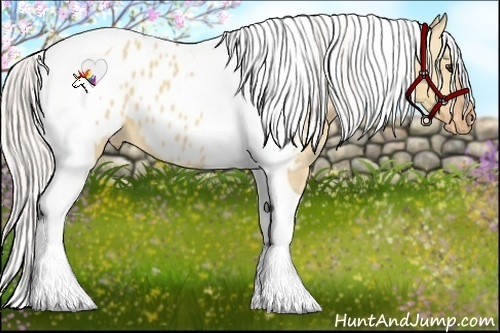 Horse Color:Silver Bay Dun Tobiano Frame Appaloosa 