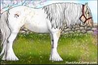 Horse Color:Silver Bay Dun Tobiano Frame Near Leopard 