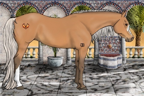 Horse Color:Silver Bay 