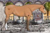 Horse Color:Silver Bay 