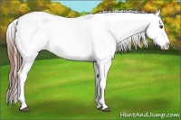 Horse Color:Chestnut Ice Varnish Rabicano